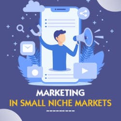 Marketing Strategy in Small Niches_New