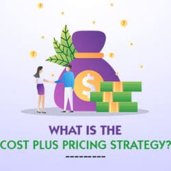 Cost Plus Pricing Strategy Examples