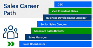 Sales Career Path