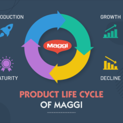 Product life cycle of maggi