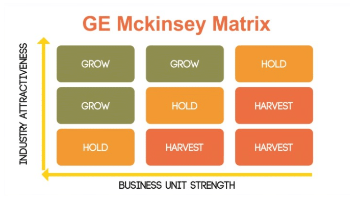GE Mckinsey Matrix